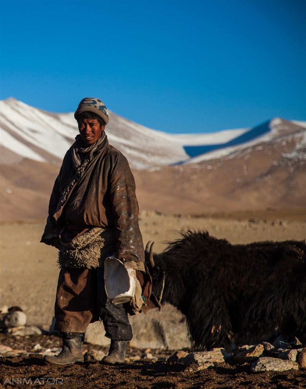 Mongolia Horyzonty Męskości